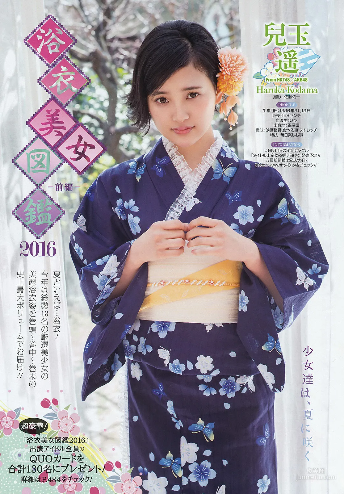 [Young Gangan] Nekomu Otogi 2016 No.17 Photo Magazine photo 8