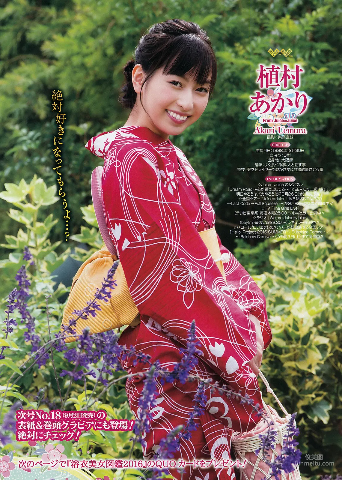 [Young Gangan] Nekomu Otogi 2016 No.17 Photo Magazine photo 20