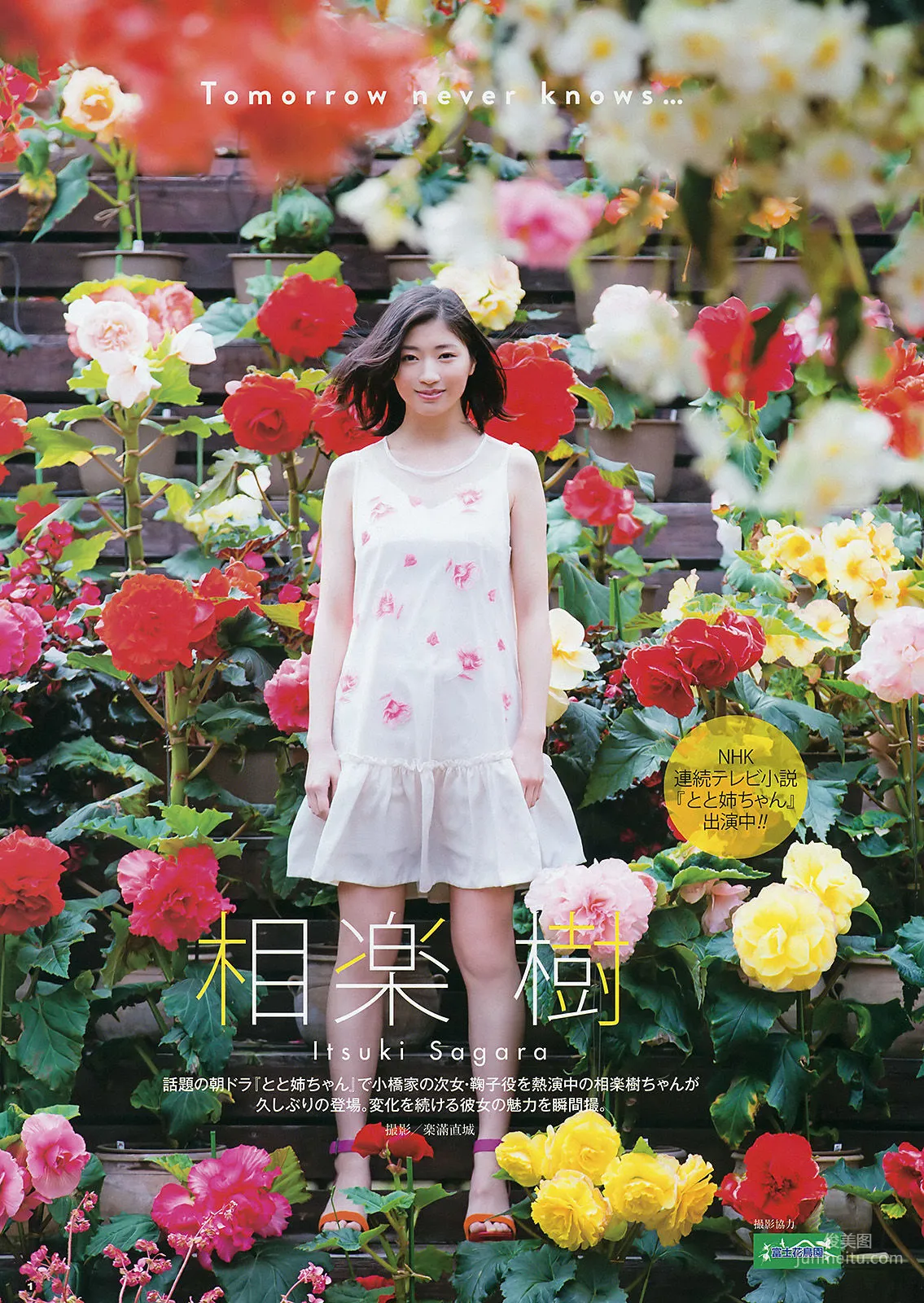[Young Gangan] Haruka Kodama, Itsuki Sagara 2016 No.11 Photo Magazine photo 10
