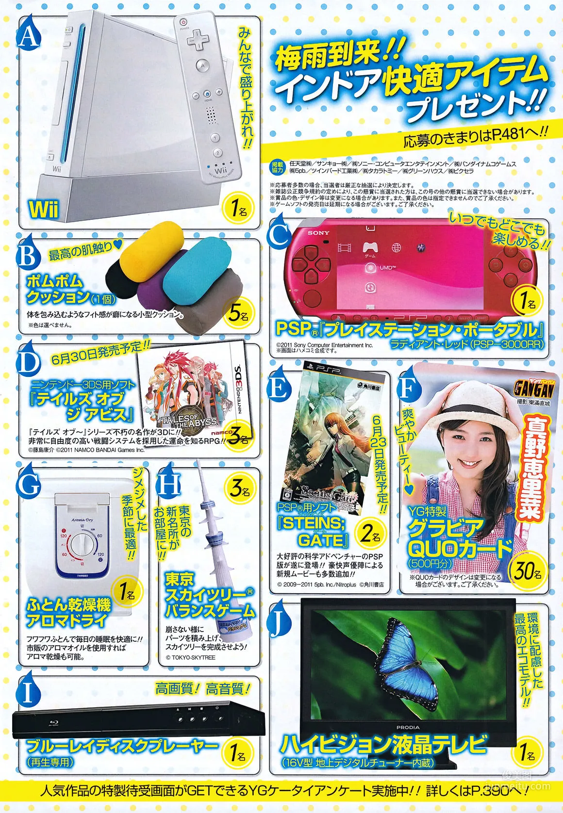 [Young Gangan] Erina Mano Erina Mano 2011 No.13 Photo Magazine photo 15