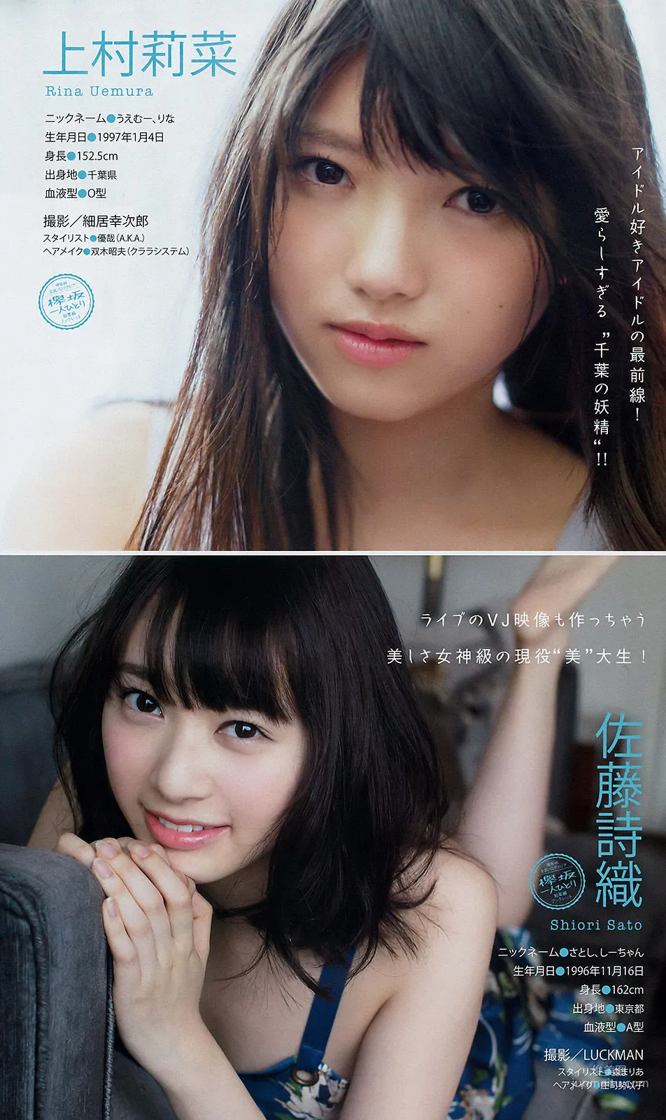 [Young Magazine] Minami Wachi 2017 No.23 Photo Magazine photo 5