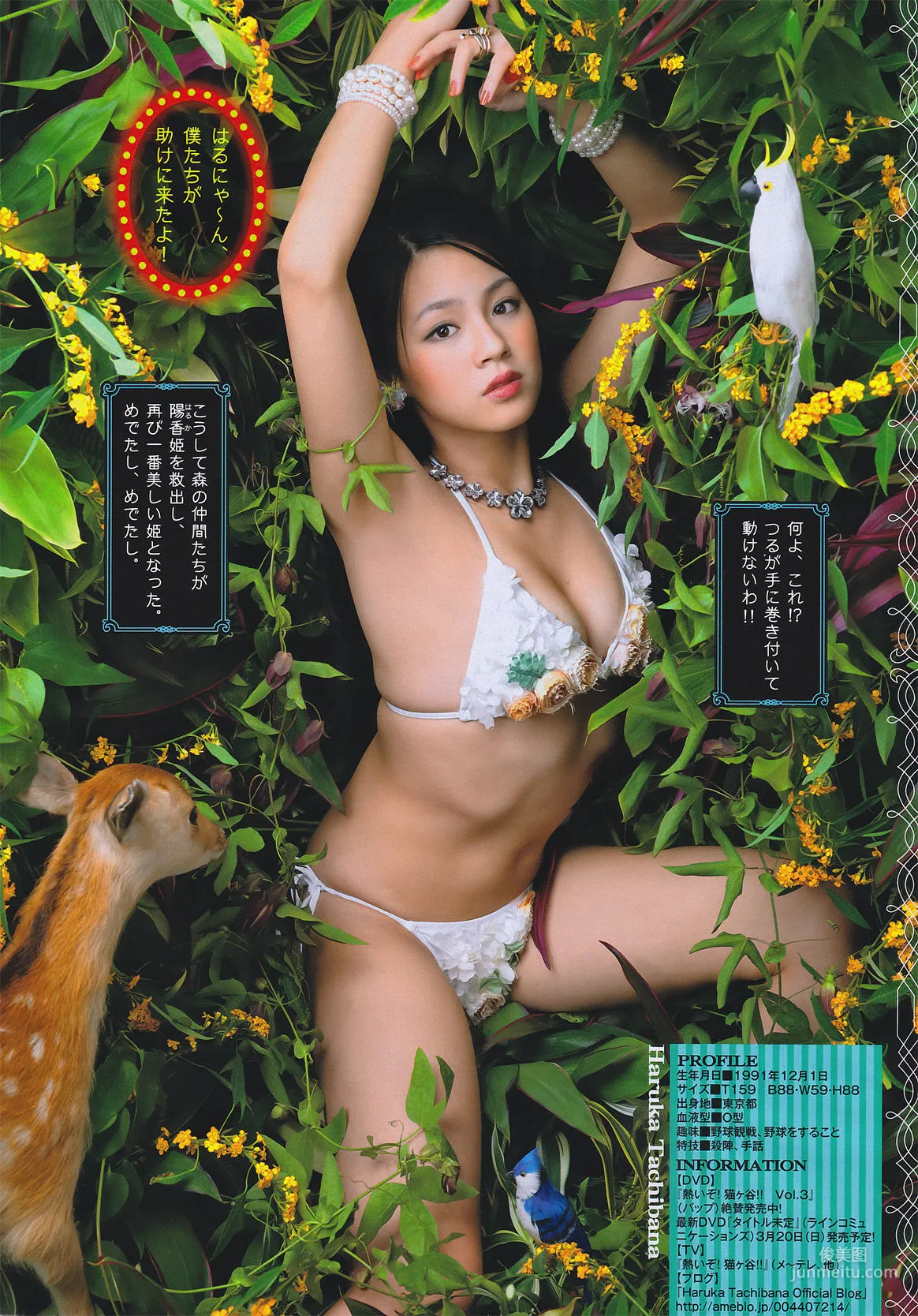 [Young Magazine] Nanami Sakuraba 2011 No.08 Photo Magazine photo 15