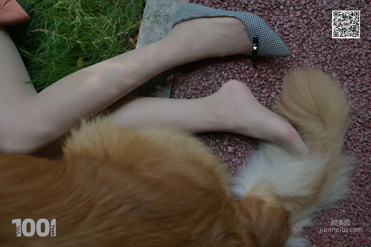 Zhen Zhen, Pets at Home 1 [One Thousand and One Nights] Stockings and Beautiful Legs Photo Set photo 61