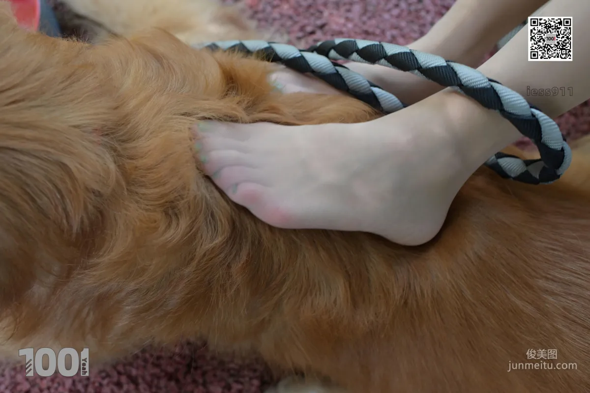 Zhen Zhen, Cute Pets at Home 2 [One Thousand and One Nights] Silk Feet and Beautiful Legs Photo Set photo 35