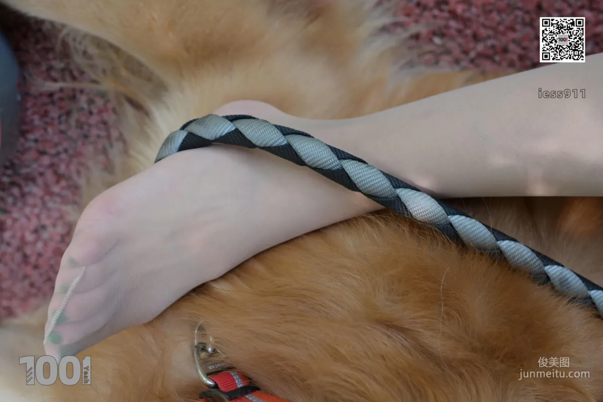 Zhen Zhen, Cute Pets at Home 2 [One Thousand and One Nights] Silk Feet and Beautiful Legs Photo Set photo 27