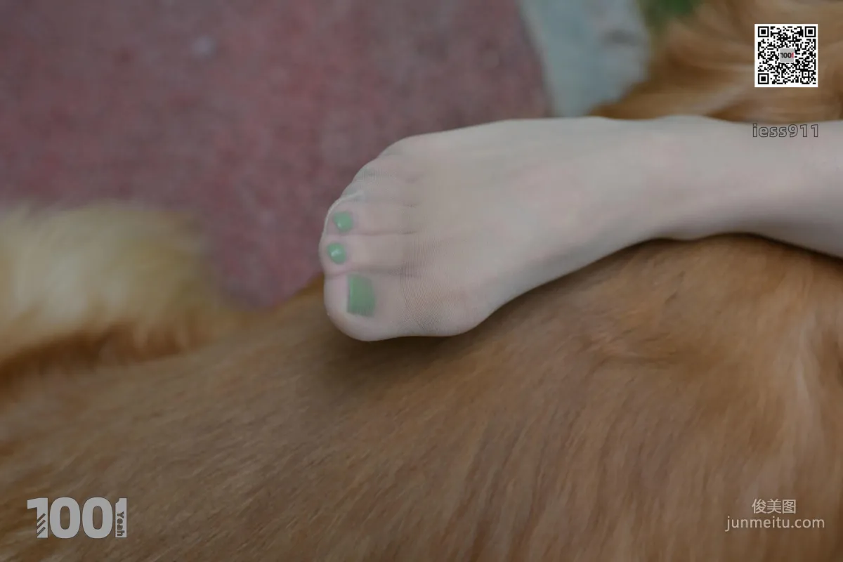 Zhen Zhen, Pets at Home 1 [One Thousand and One Nights] Stockings and Beautiful Legs Photo Set photo 47
