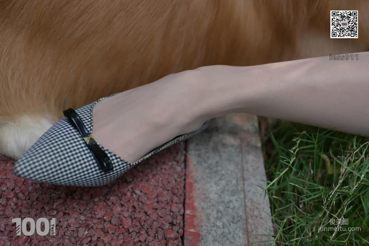 Zhen Zhen, Pets at Home 1 [One Thousand and One Nights] Stockings and Beautiful Legs Photo Set photo 43
