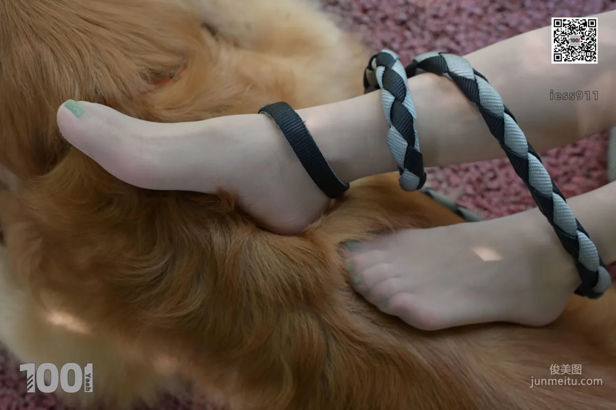Zhen Zhen, Cute Pets at Home 2 [One Thousand and One Nights] Silk Feet and Beautiful Legs Photo Set photo 12