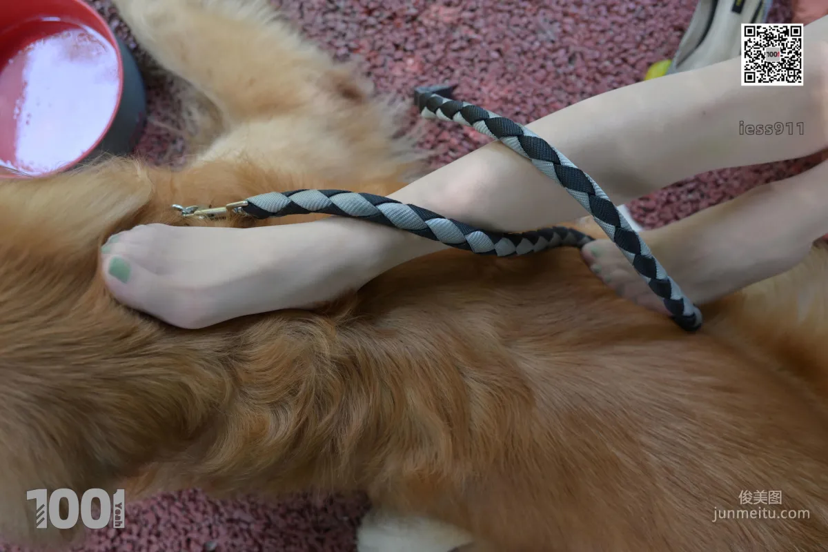 Zhen Zhen, Cute Pets at Home 2 [One Thousand and One Nights] Silk Feet and Beautiful Legs Photo Set photo 38