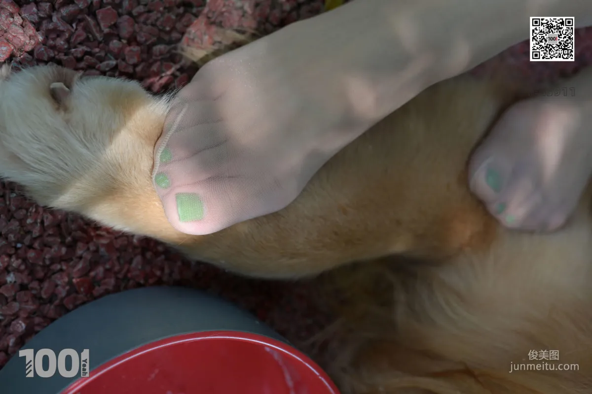 Zhen Zhen, Cute Pets at Home 2 [One Thousand and One Nights] Silk Feet and Beautiful Legs Photo Set photo 65