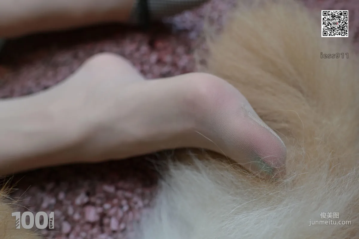 Zhen Zhen, Pets at Home 1 [One Thousand and One Nights] Stockings and Beautiful Legs Photo Set photo 57