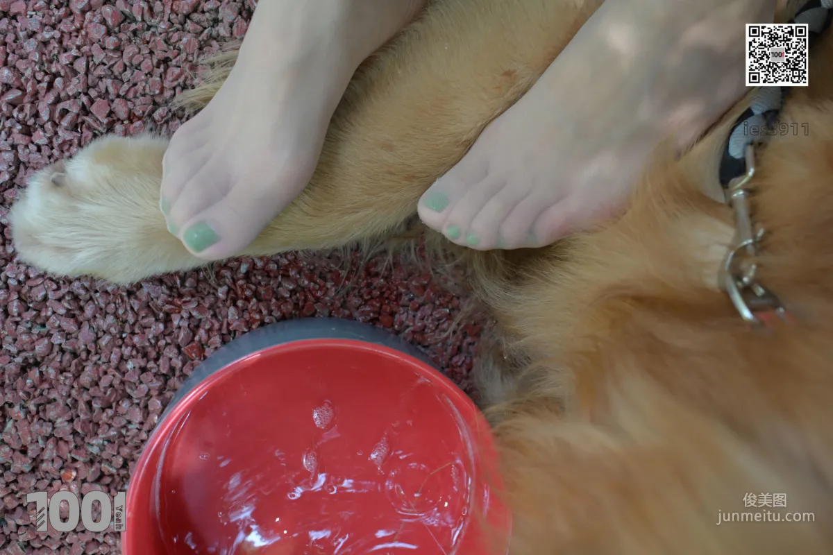 Zhen Zhen, Cute Pets at Home 2 [One Thousand and One Nights] Silk Feet and Beautiful Legs Photo Set photo 66