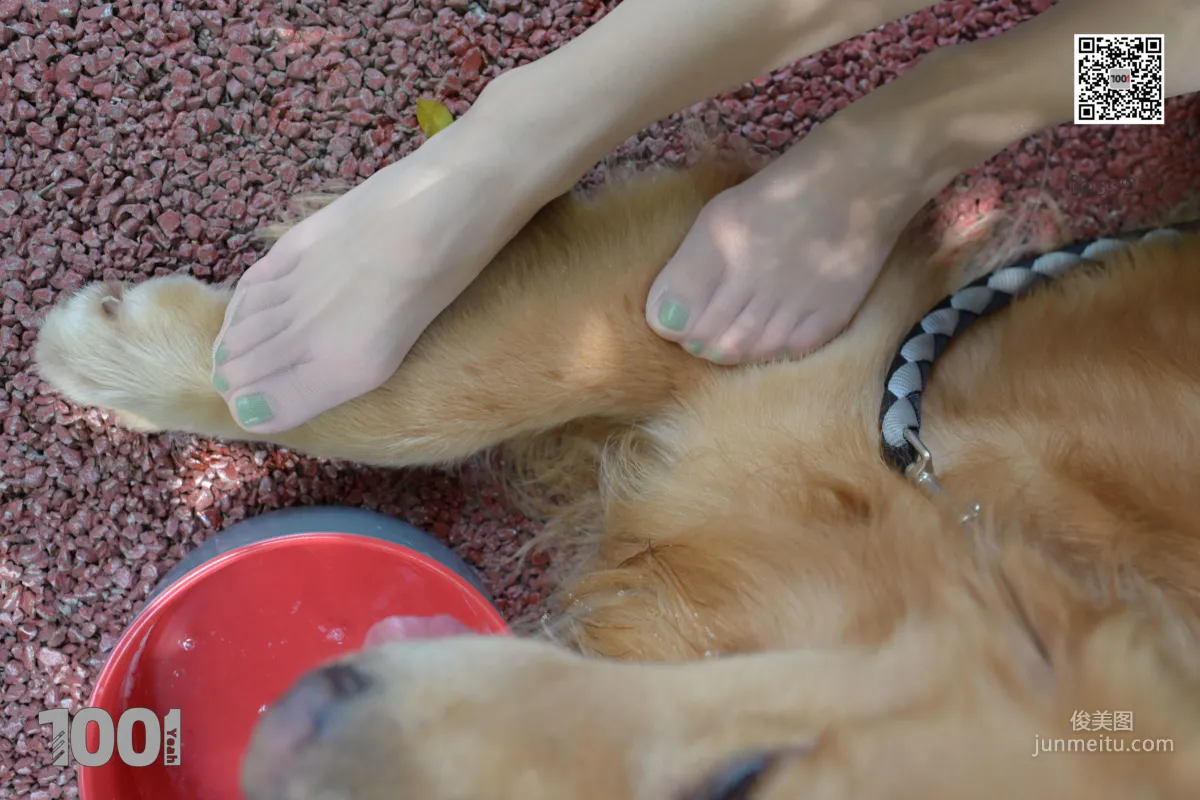 Zhen Zhen, Cute Pets at Home 2 [One Thousand and One Nights] Silk Feet and Beautiful Legs Photo Set photo 63