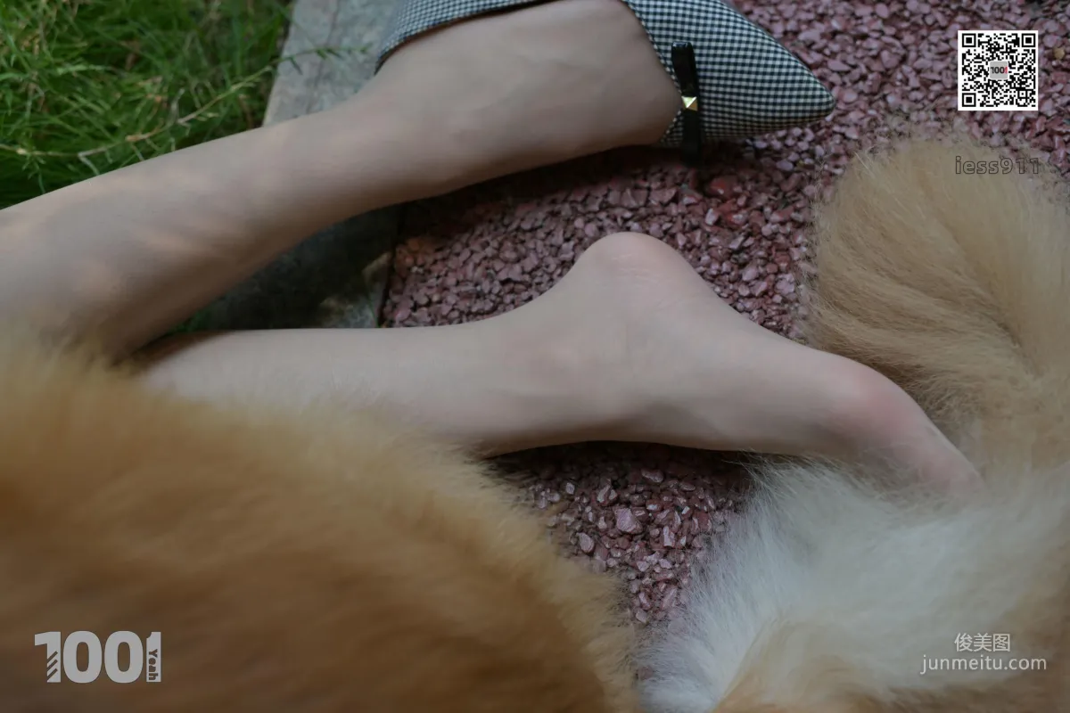 Zhen Zhen, Pets at Home 1 [One Thousand and One Nights] Stockings and Beautiful Legs Photo Set photo 60