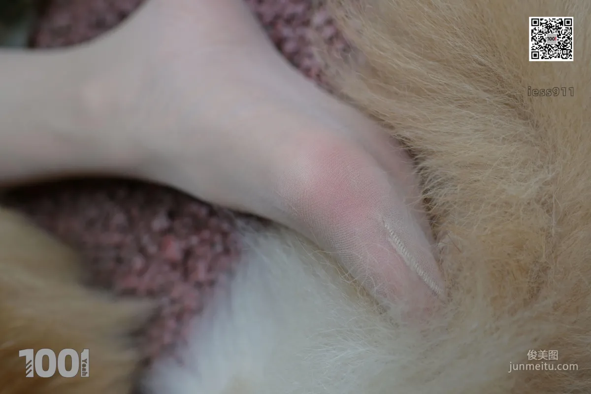 Zhen Zhen, Pets at Home 1 [One Thousand and One Nights] Stockings and Beautiful Legs Photo Set photo 58