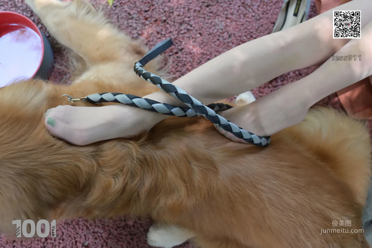 Zhen Zhen, Cute Pets at Home 2 [One Thousand and One Nights] Silk Feet and Beautiful Legs Photo Set photo 37