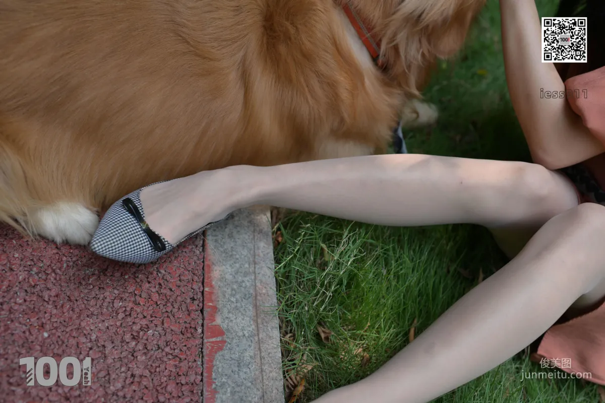 Zhen Zhen, Pets at Home 1 [One Thousand and One Nights] Stockings and Beautiful Legs Photo Set photo 44