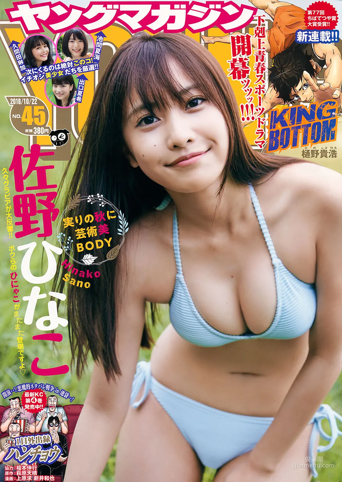 [Young Magazine] Hinako Sano 2018 No.45 Photo Magazine photo 1