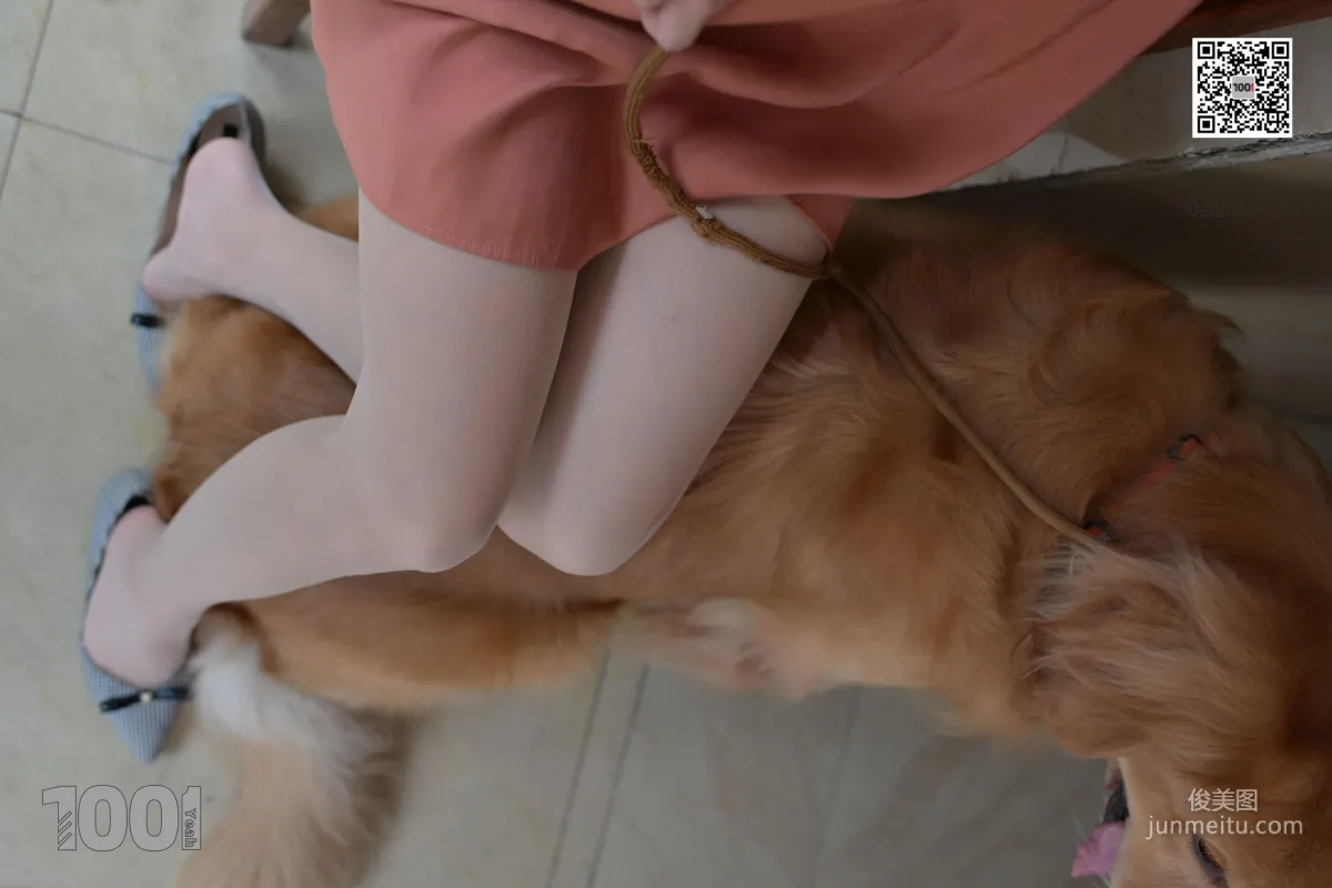 Zhen Zhen, Pets at Home 1 [One Thousand and One Nights] Stockings and Beautiful Legs Photo Set photo 8