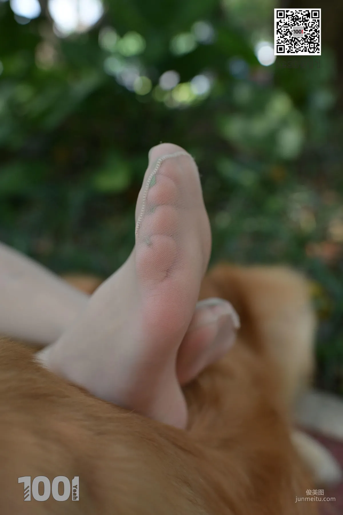 Zhen Zhen, Cute Pets at Home 2 [One Thousand and One Nights] Silk Feet and Beautiful Legs Photo Set photo 24