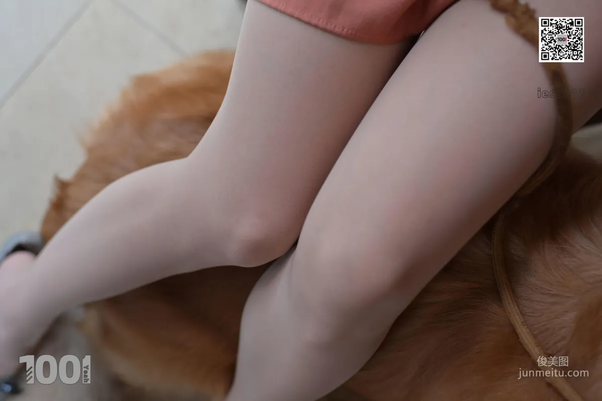 Zhen Zhen, Pets at Home 1 [One Thousand and One Nights] Stockings and Beautiful Legs Photo Set photo 11