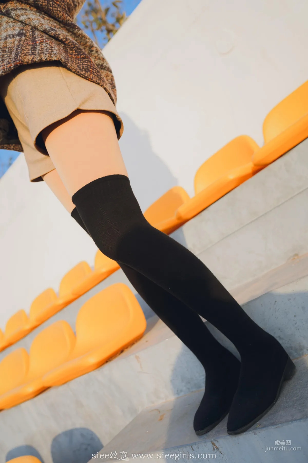 Qin Qin: SIEE No. 386 photo 74