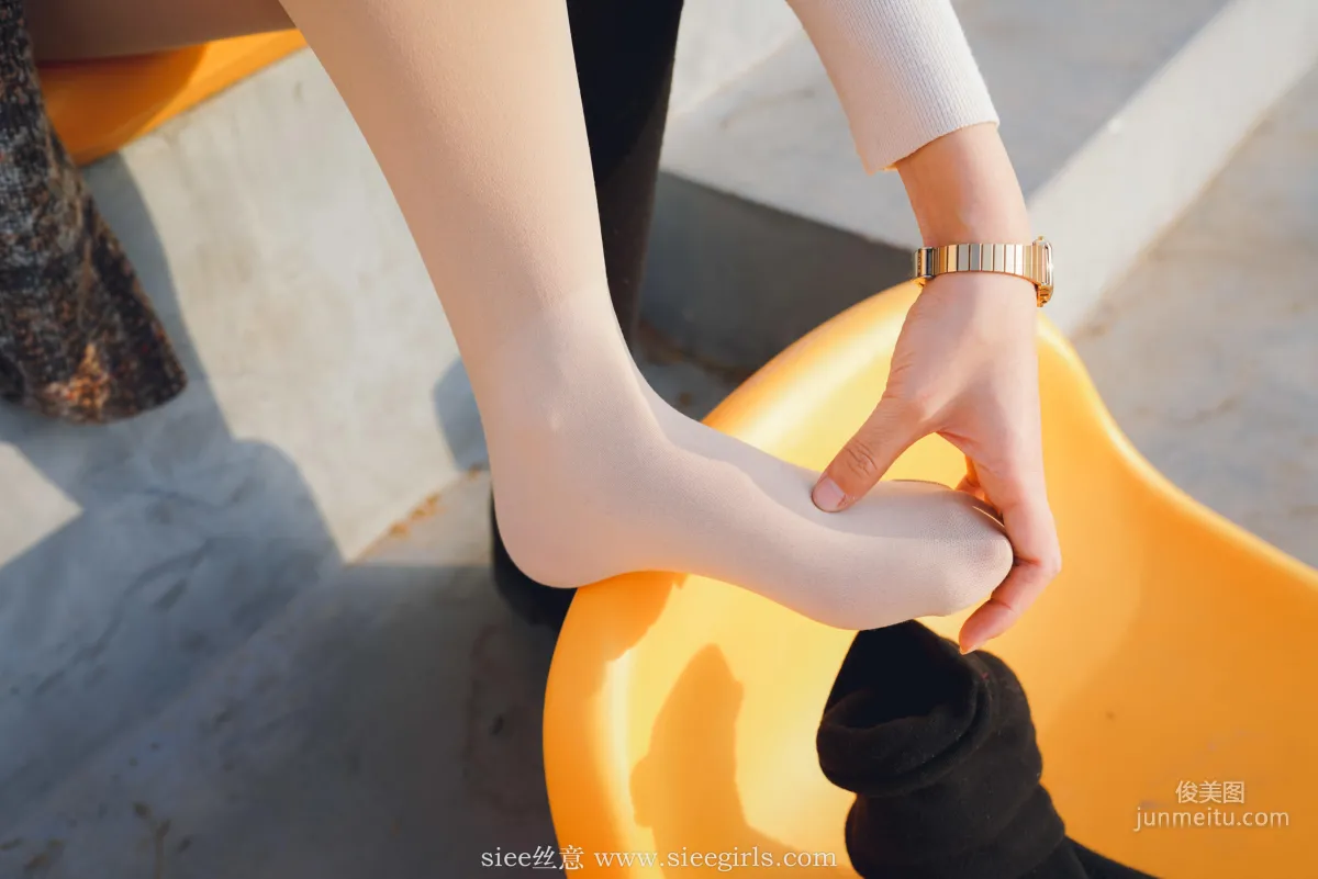 Qin Qin: SIEE No. 386 photo 42