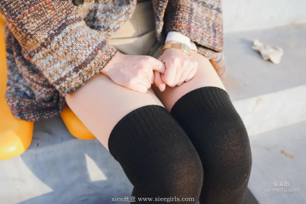 Qin Qin: SIEE No. 386 photo 22
