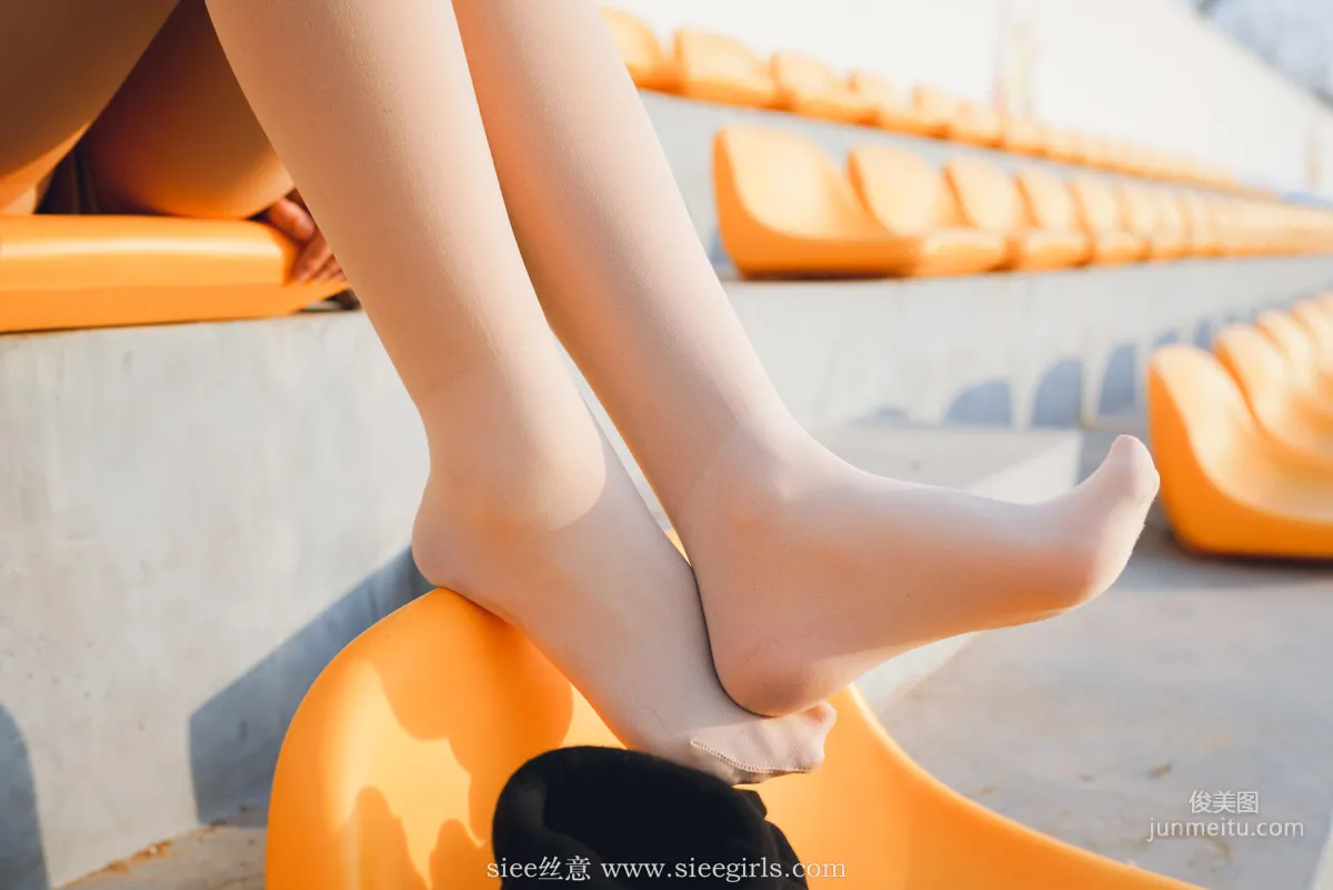 Qin Qin: SIEE No. 386 photo 51