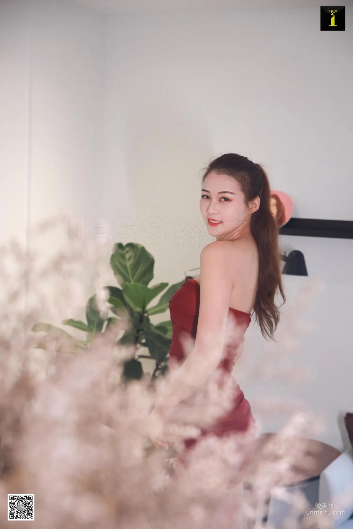 Jiu Mei: IESS photo 39