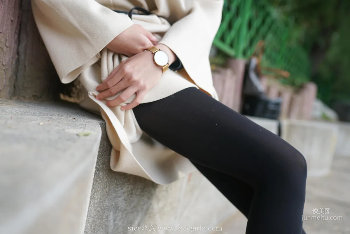 Xue Er: SIEE No. 410 photo 5