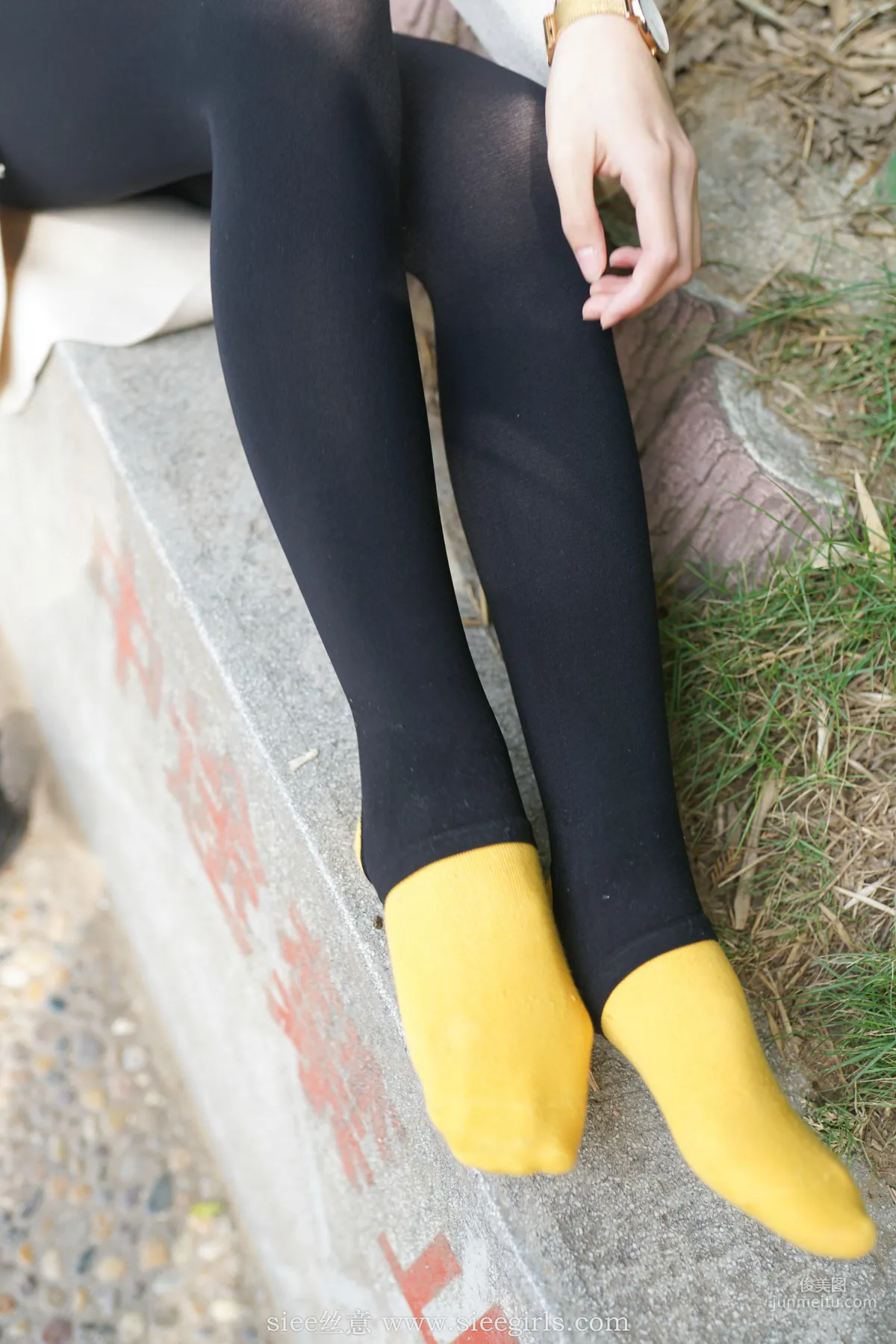 Xue Er: SIEE No. 410 photo 36