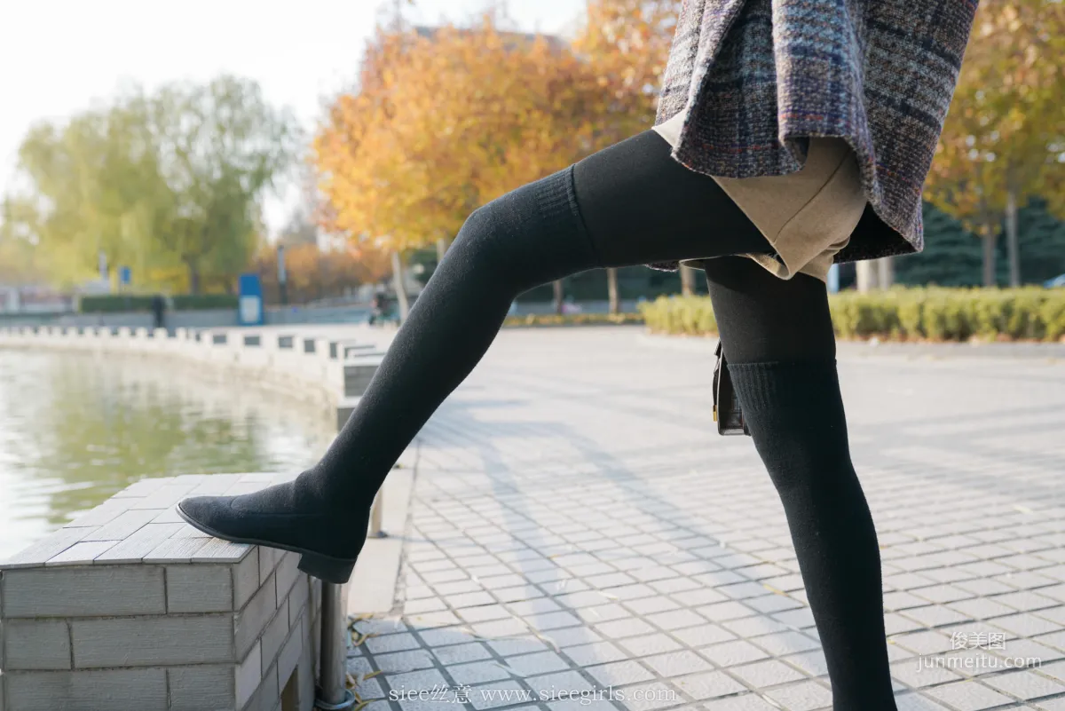 Qin Qin: SIEE No. 393 photo 72