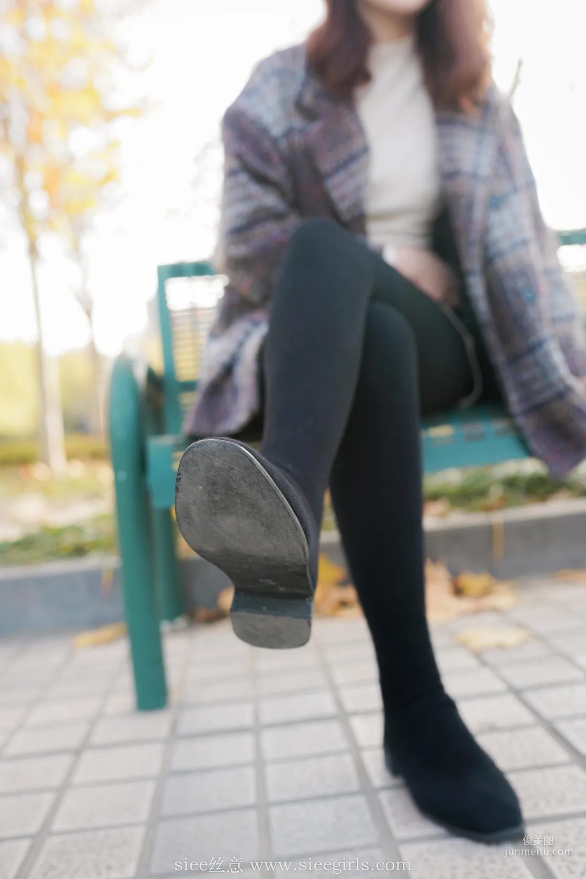 Qin Qin: SIEE No. 393 photo 16