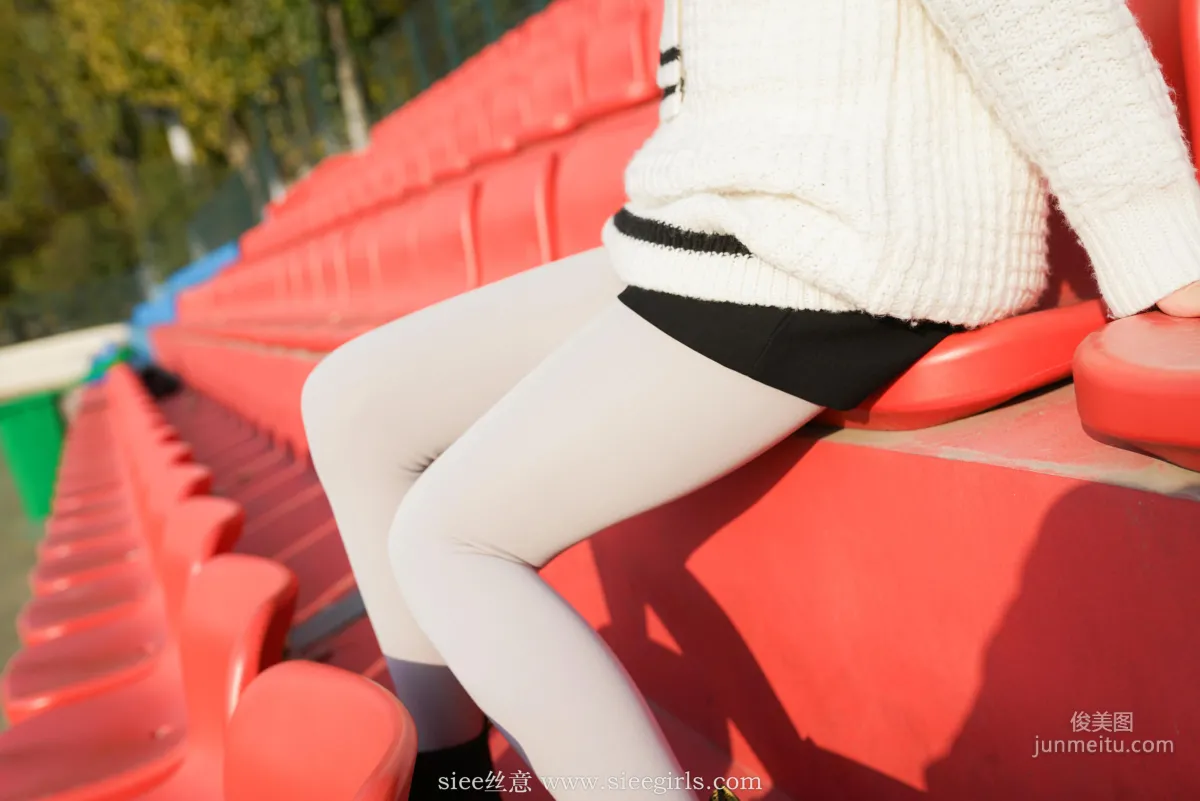 Ying Ying: SIEE No. 391 photo 8