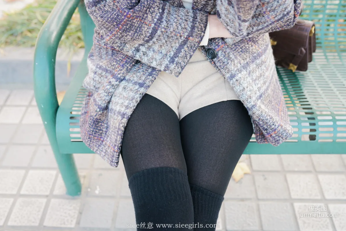 Qin Qin: SIEE No. 393 photo 18