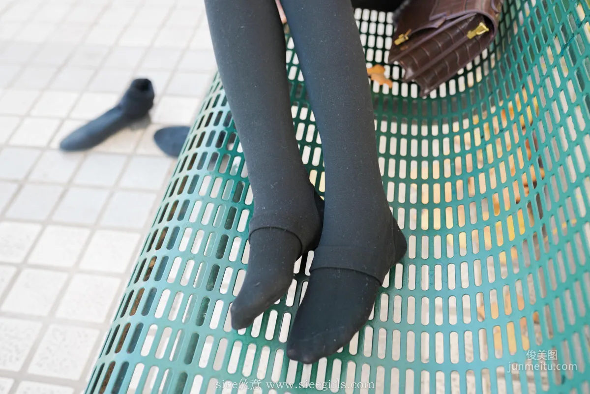 Qin Qin: SIEE No. 393 photo 50