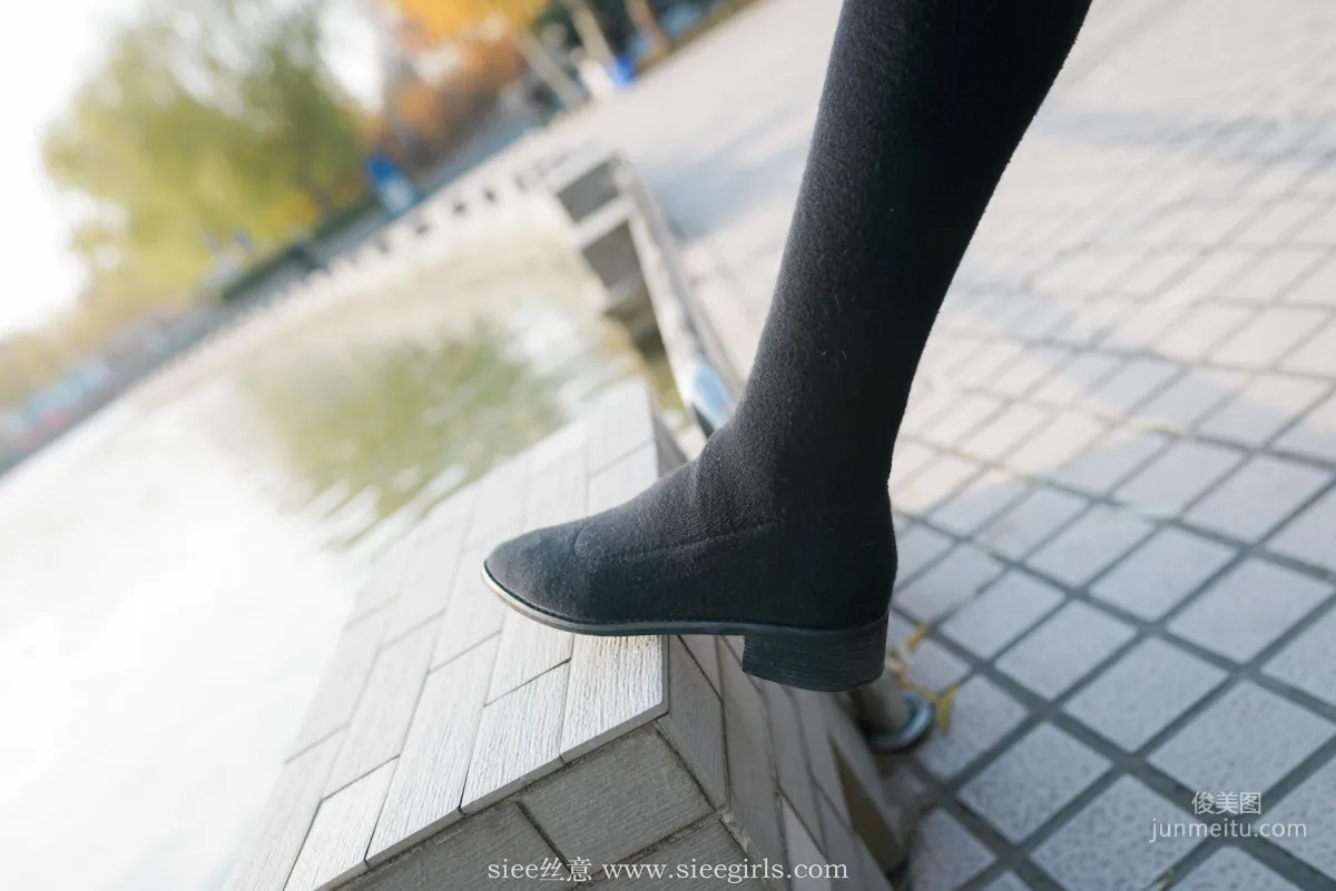 Qin Qin: SIEE No. 393 photo 73