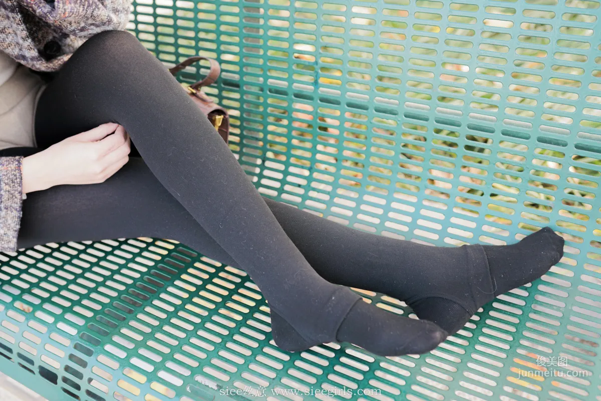 Qin Qin: SIEE No. 393 photo 53