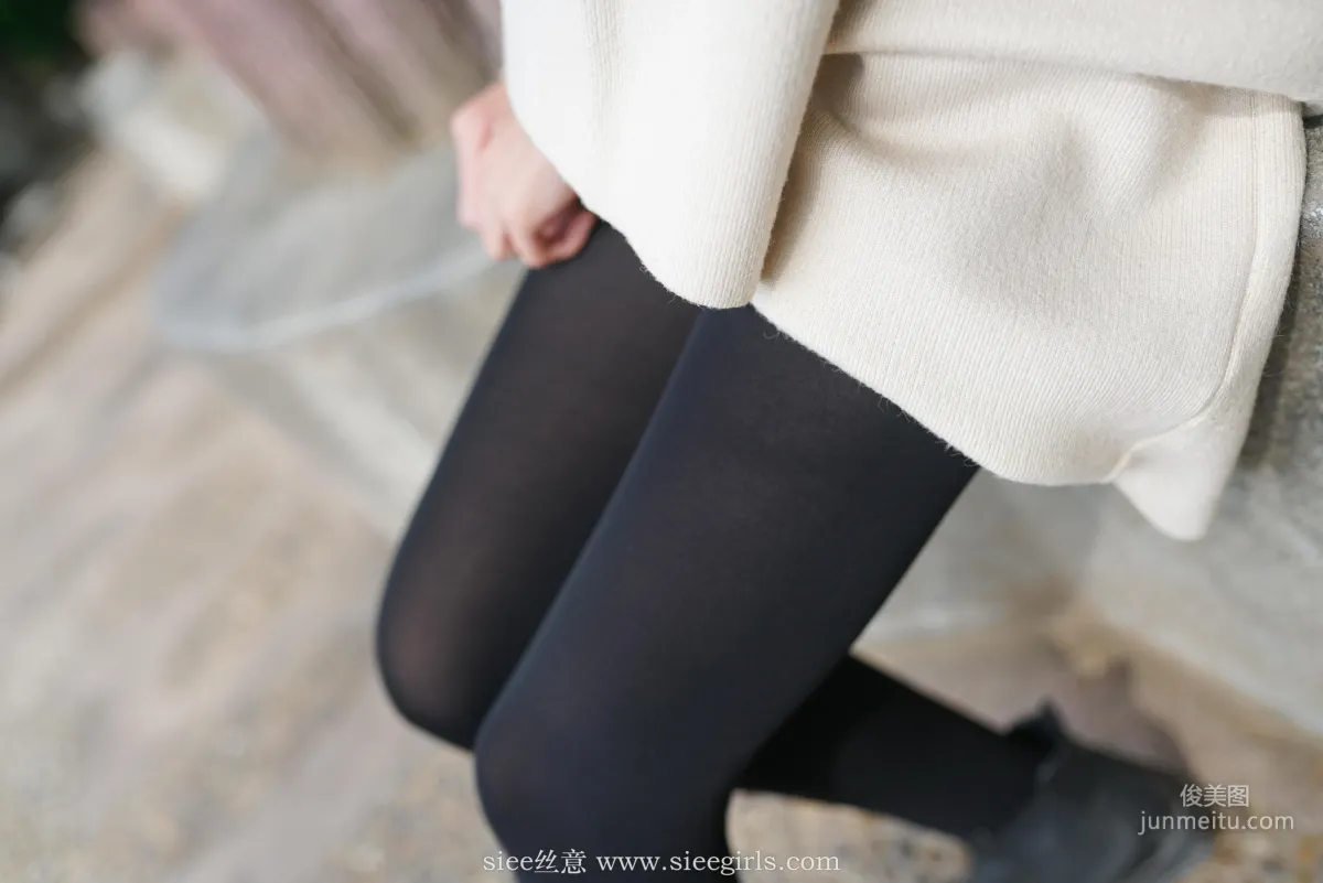 Xue Er: SIEE No. 410 photo 17