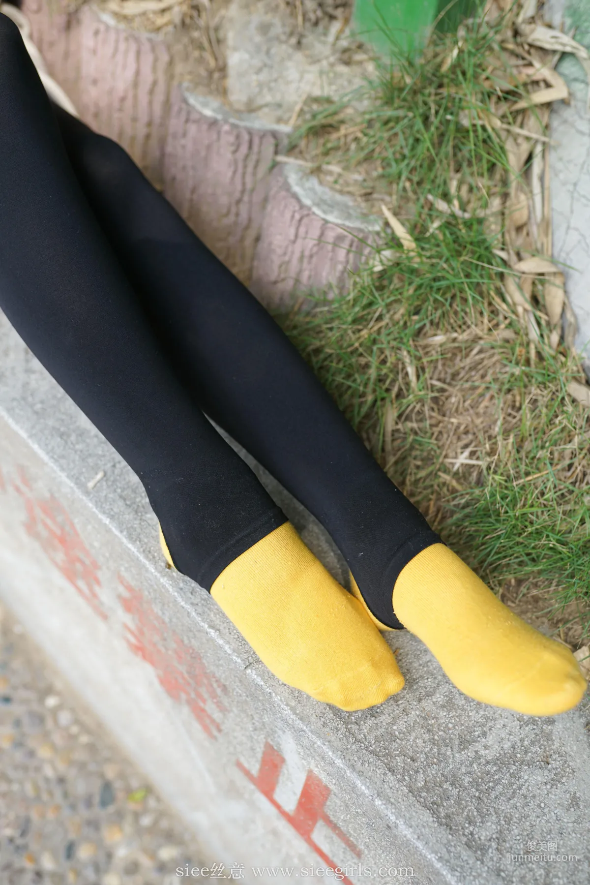 Xue Er: SIEE No. 410 photo 37