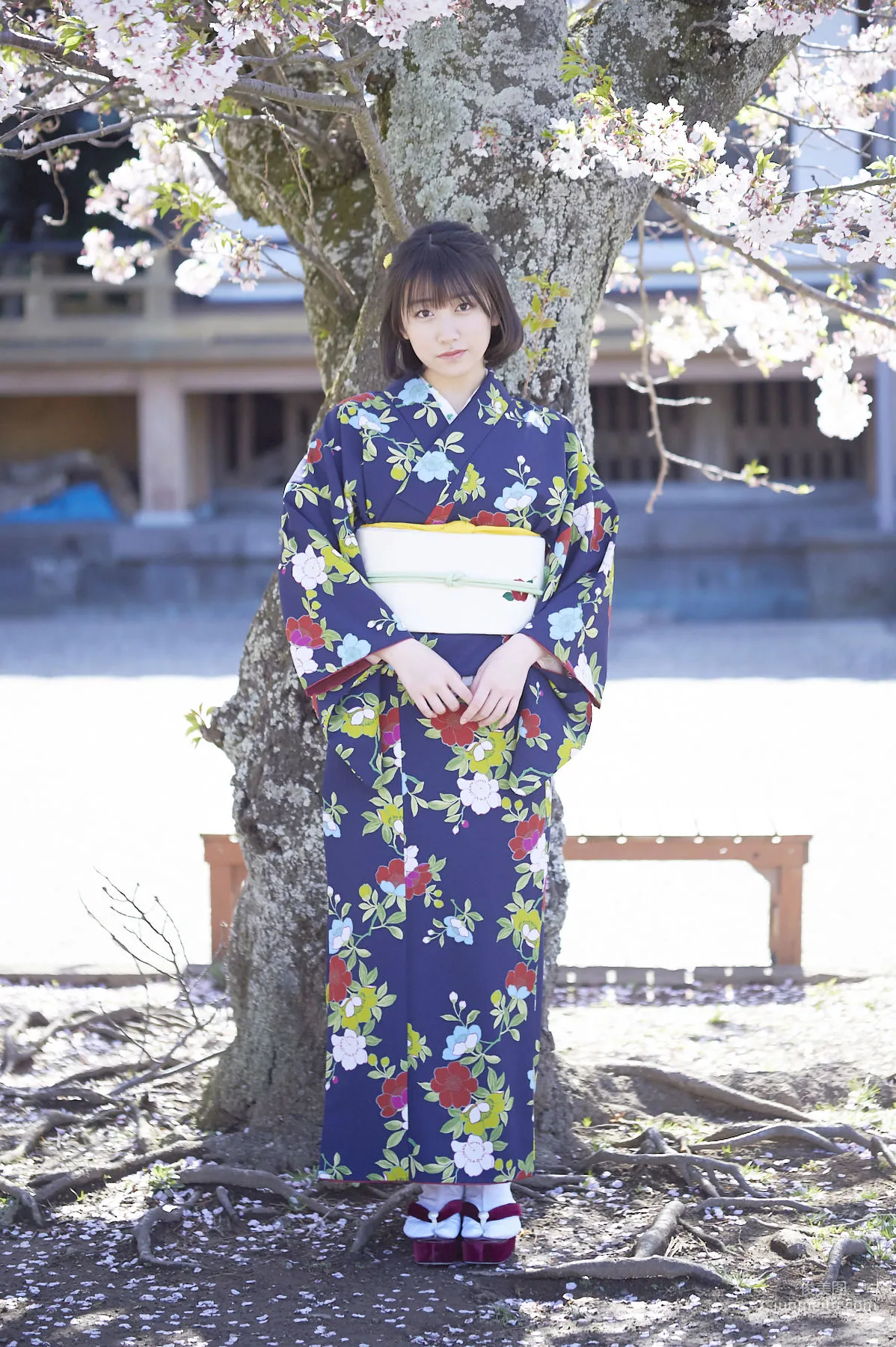 和田桜子 Sakurako Wada [Hello! Project Digital Books] No.189 寫真集 23