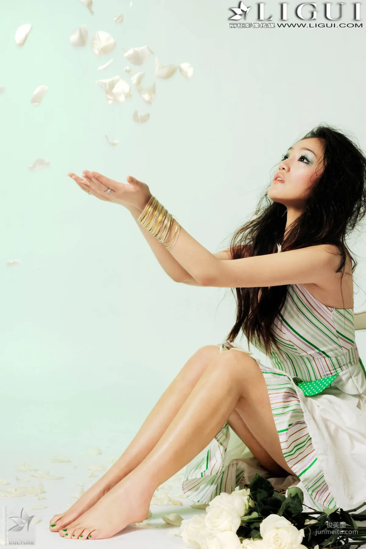 Zhang Jingyan: Ligui Model photo 16