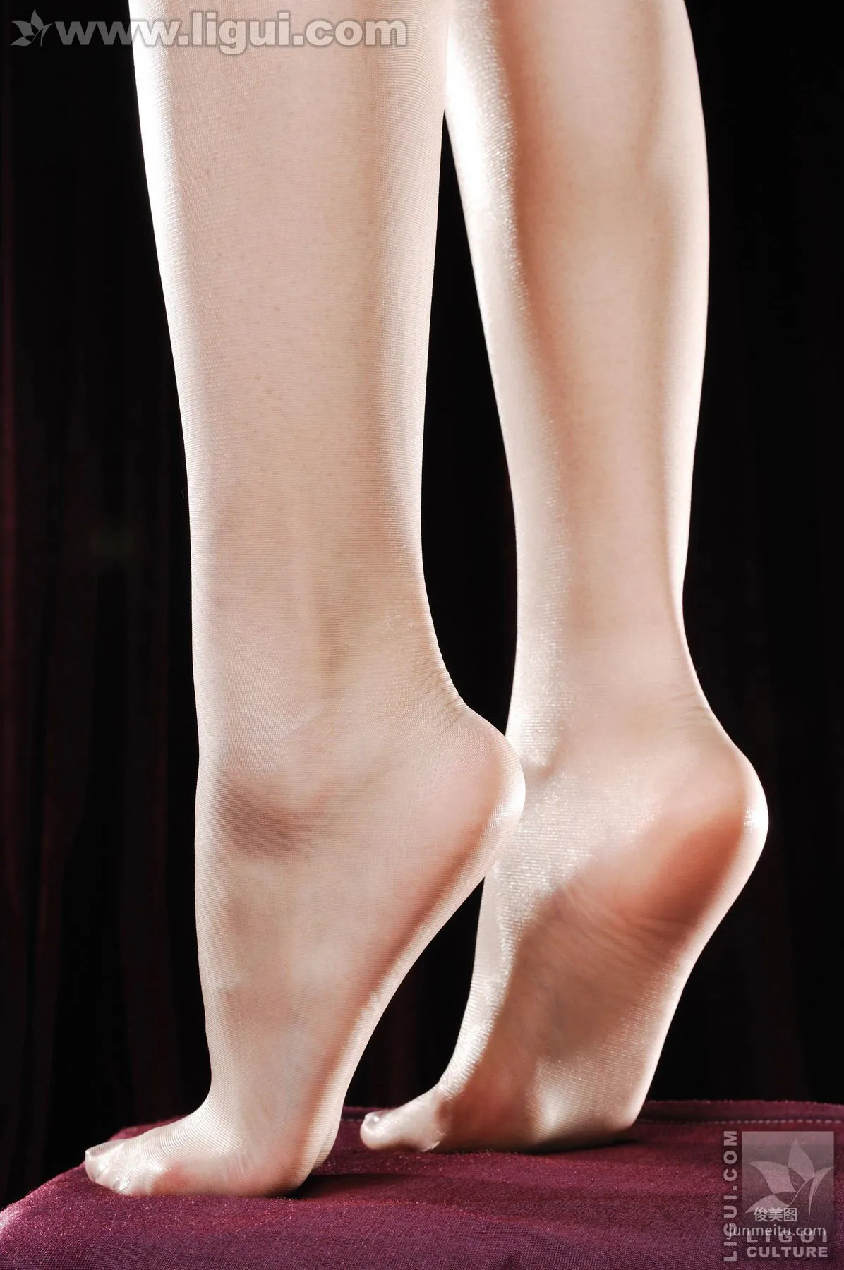 Zuo Zuo: Ligui Model photo 25