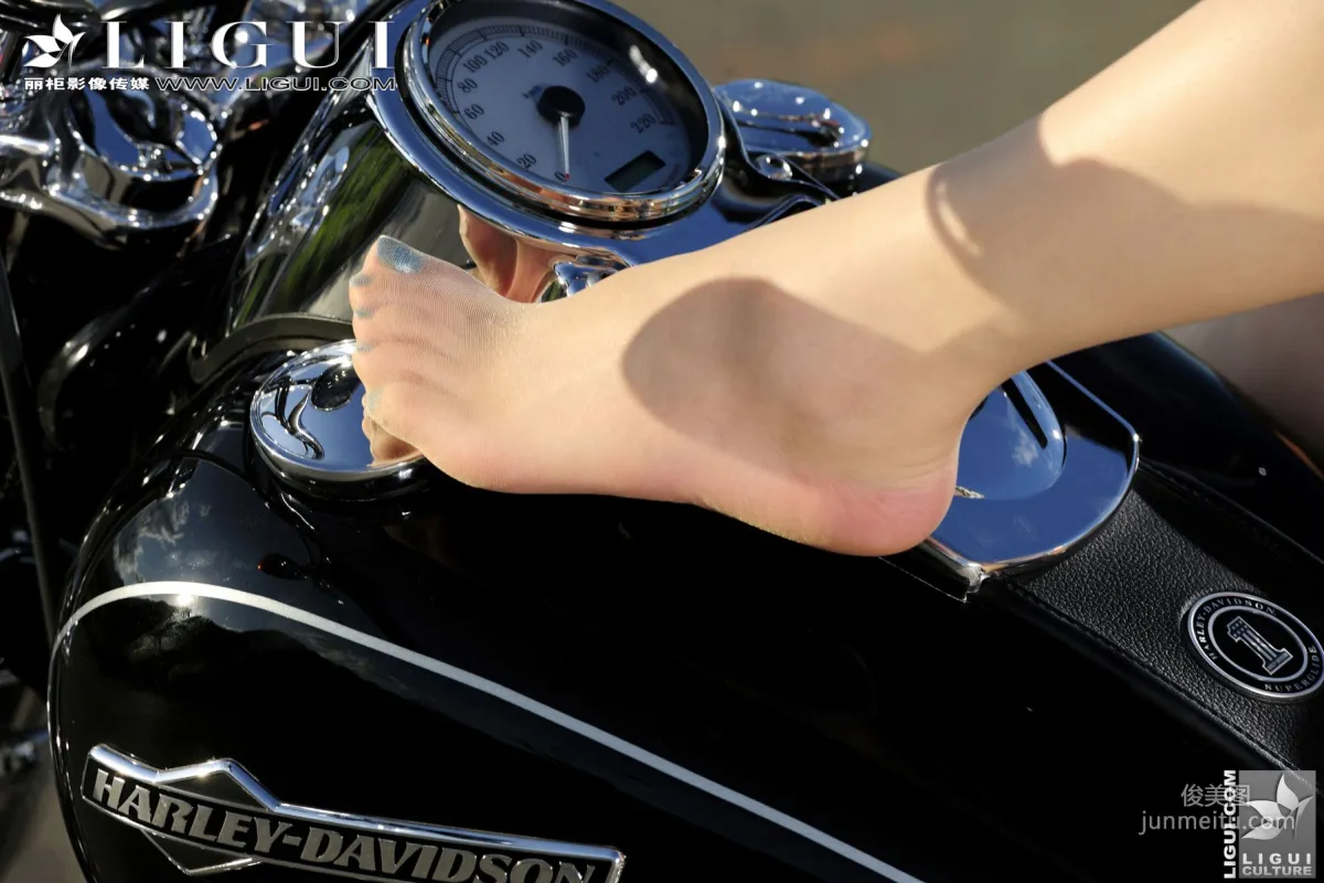 Ligui Cherry: Ligui Model Motorcycle photo 32