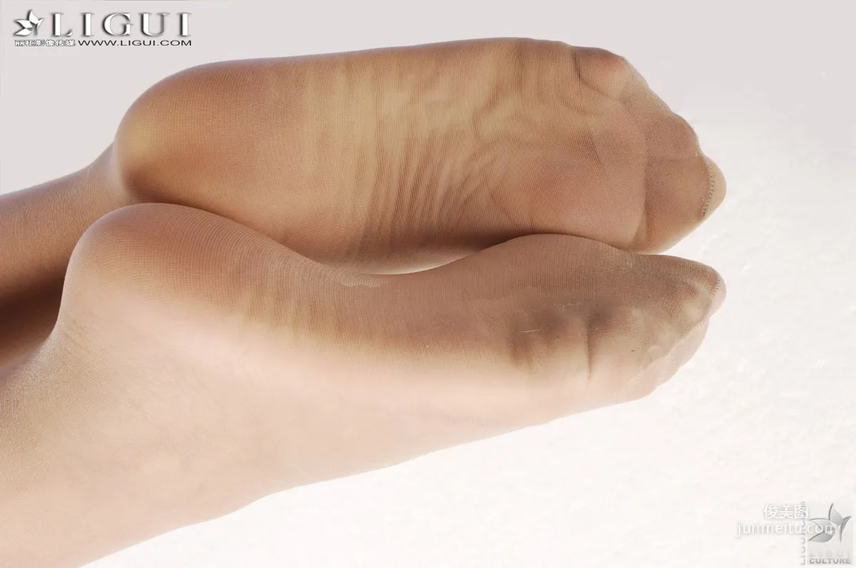 Su Fei: Ligui Model photo 17
