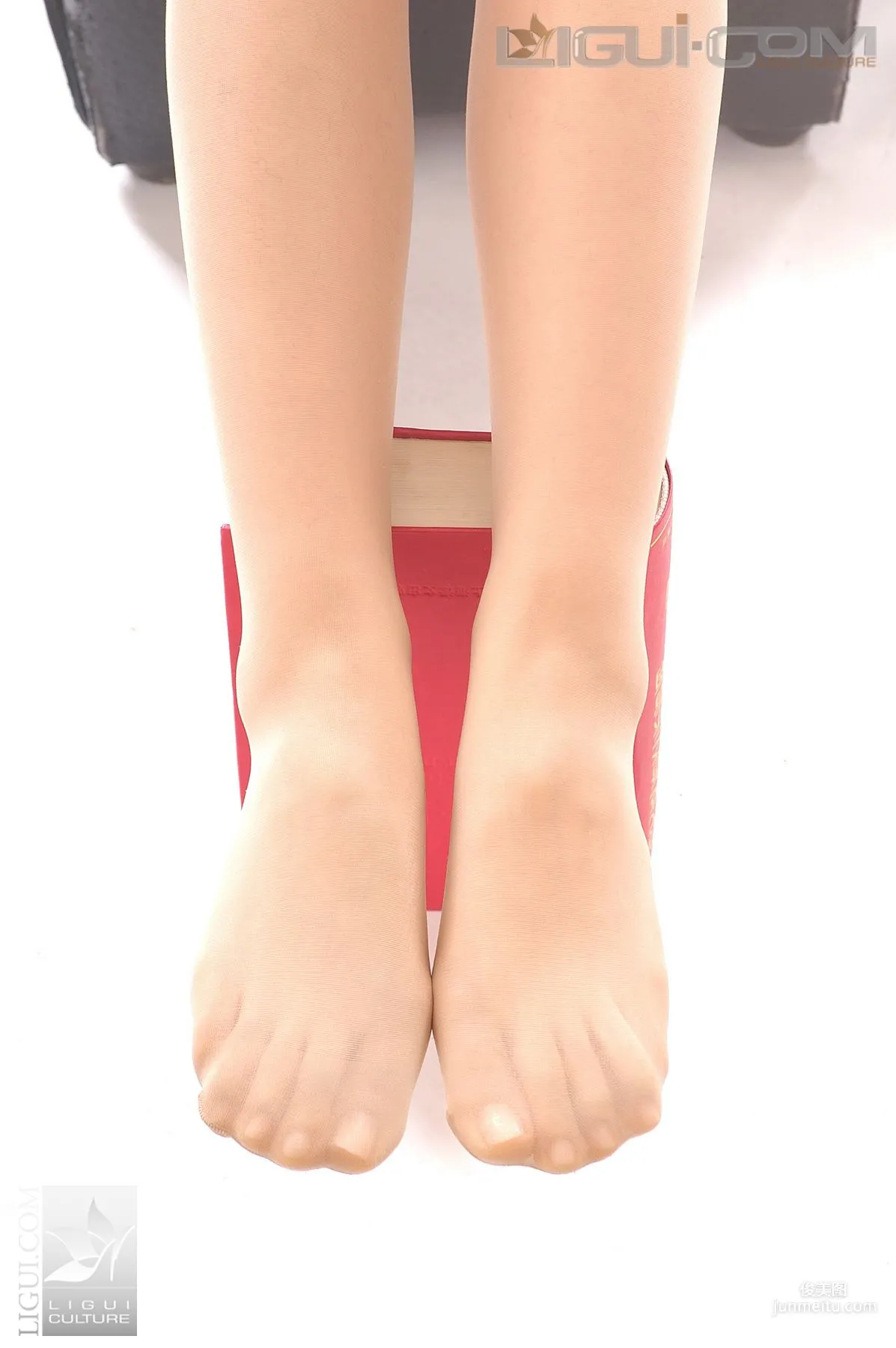 Cheng Hailun: Ligui Model photo 27