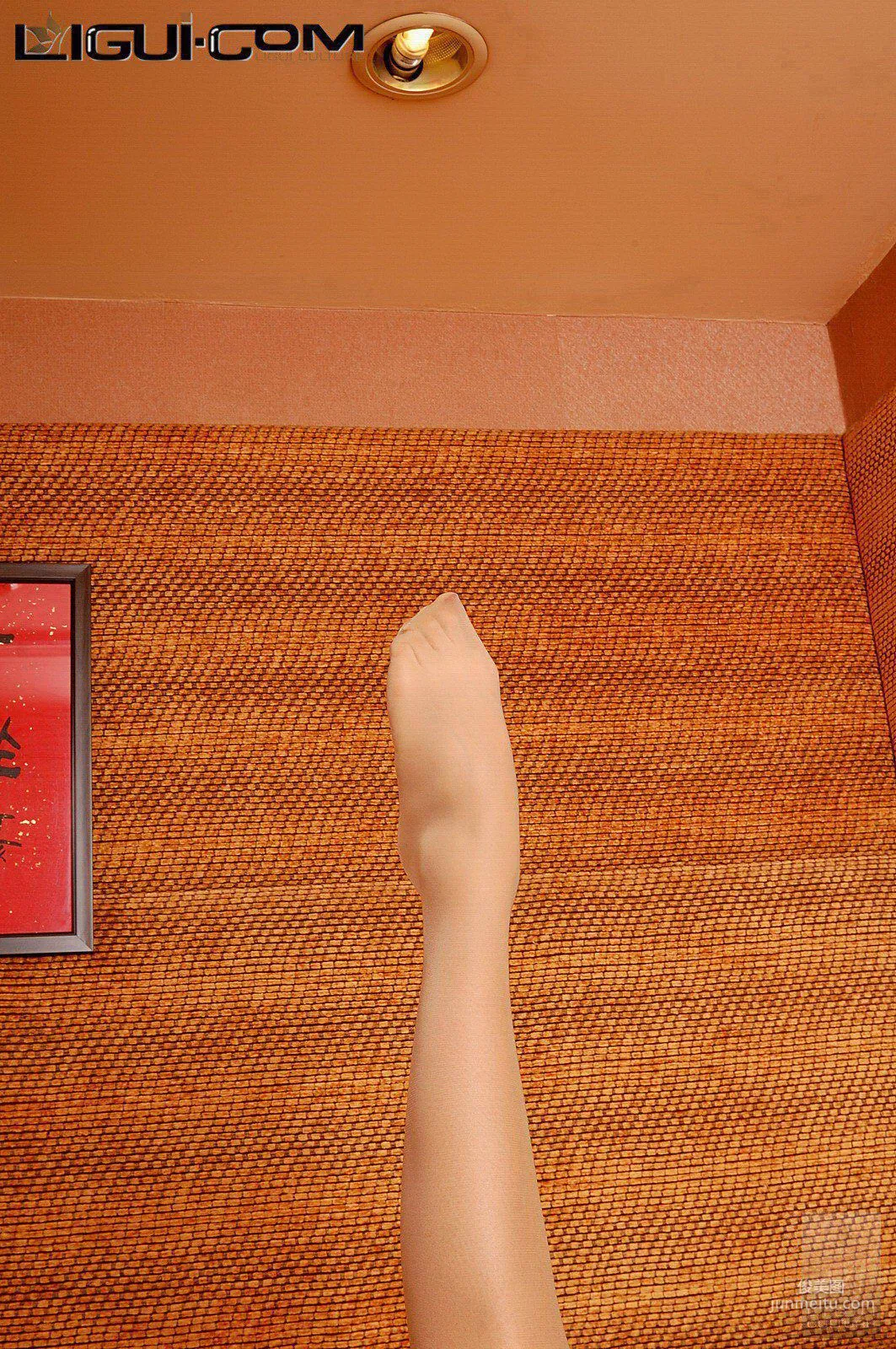 Yi Yuan: Ligui Model photo 10