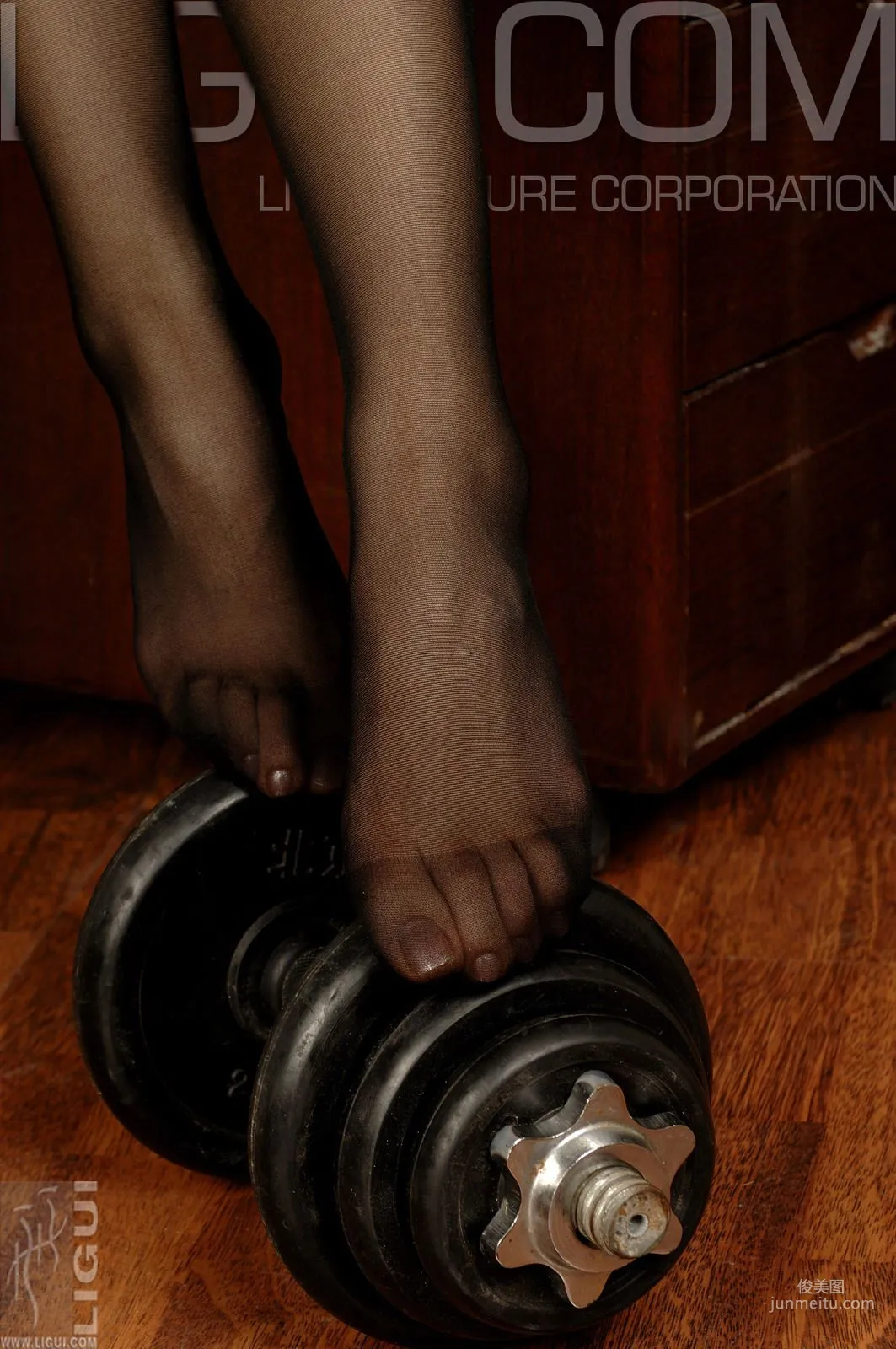 Cheng Hailun: Ligui Model photo 24