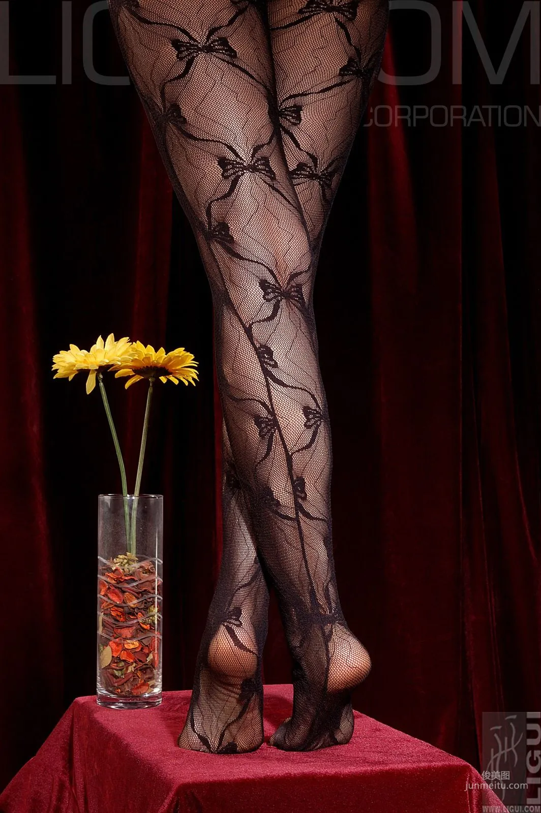 Cheng Hailun: Ligui Model photo 34